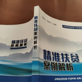 精准扶贫案例解析