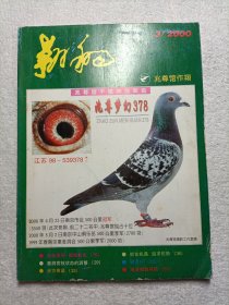 翱翔 2000.3 兆尊馆千禧年冠军鸽