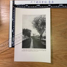 1926年出版物老照片印刷品——道路【正背面】[CA04+A0079］