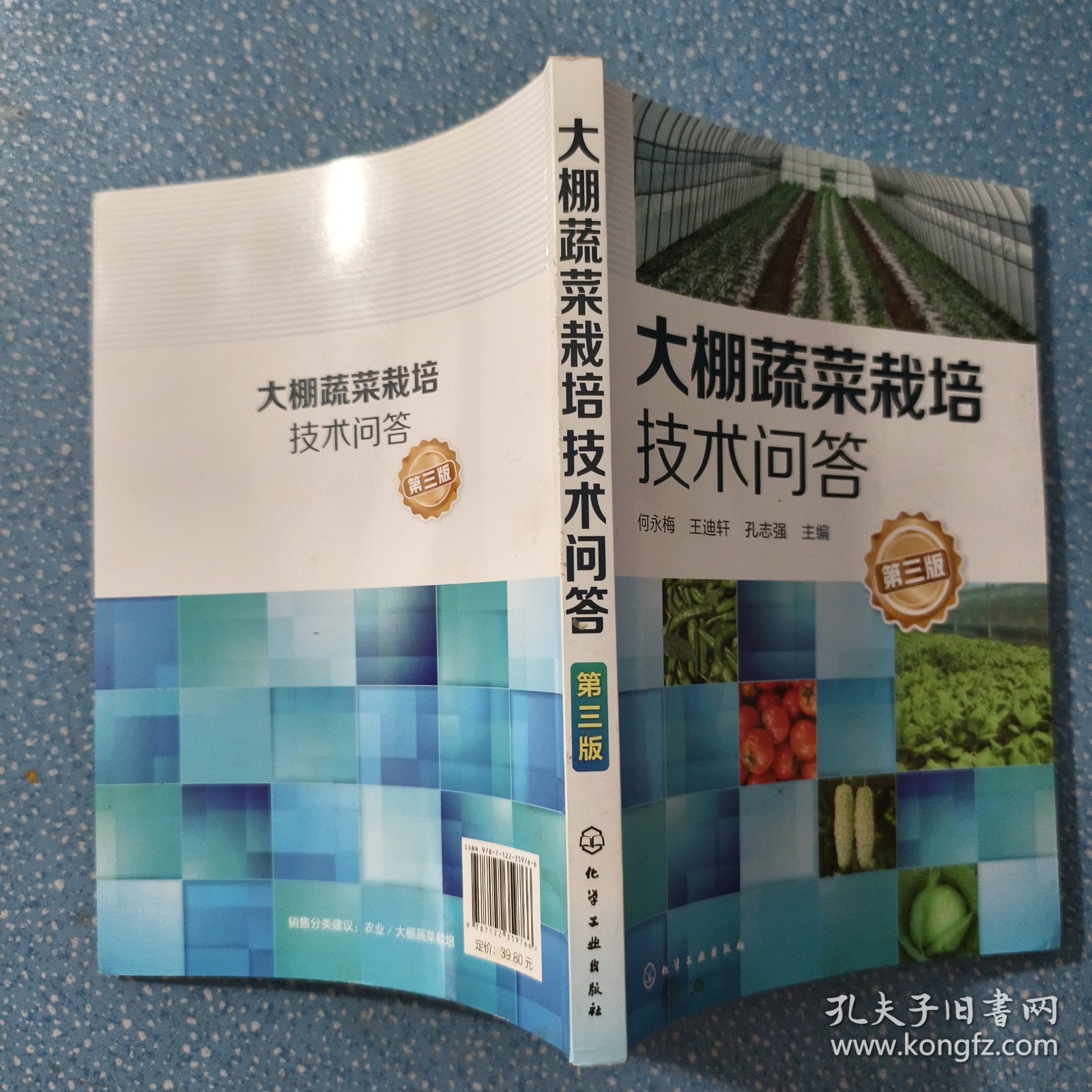大棚蔬菜栽培技术问答（第三版）【正版现货】【无写划】【实拍图发货】【当天发货】