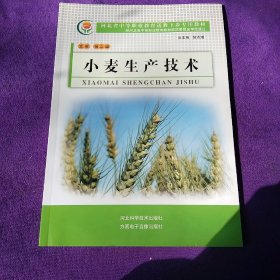 小麦生产技术