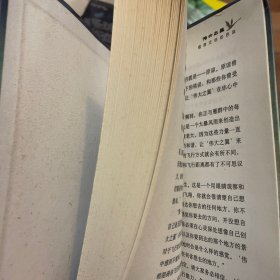 伟大之翼：人字雁阵带来的启示