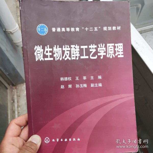 普通高等教育“十二五”规划教材：微生物发酵工艺学原理