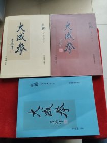 大成拳全三册