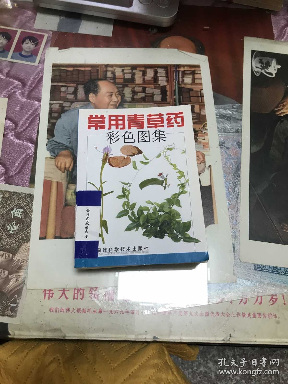 常用青草药彩色图集