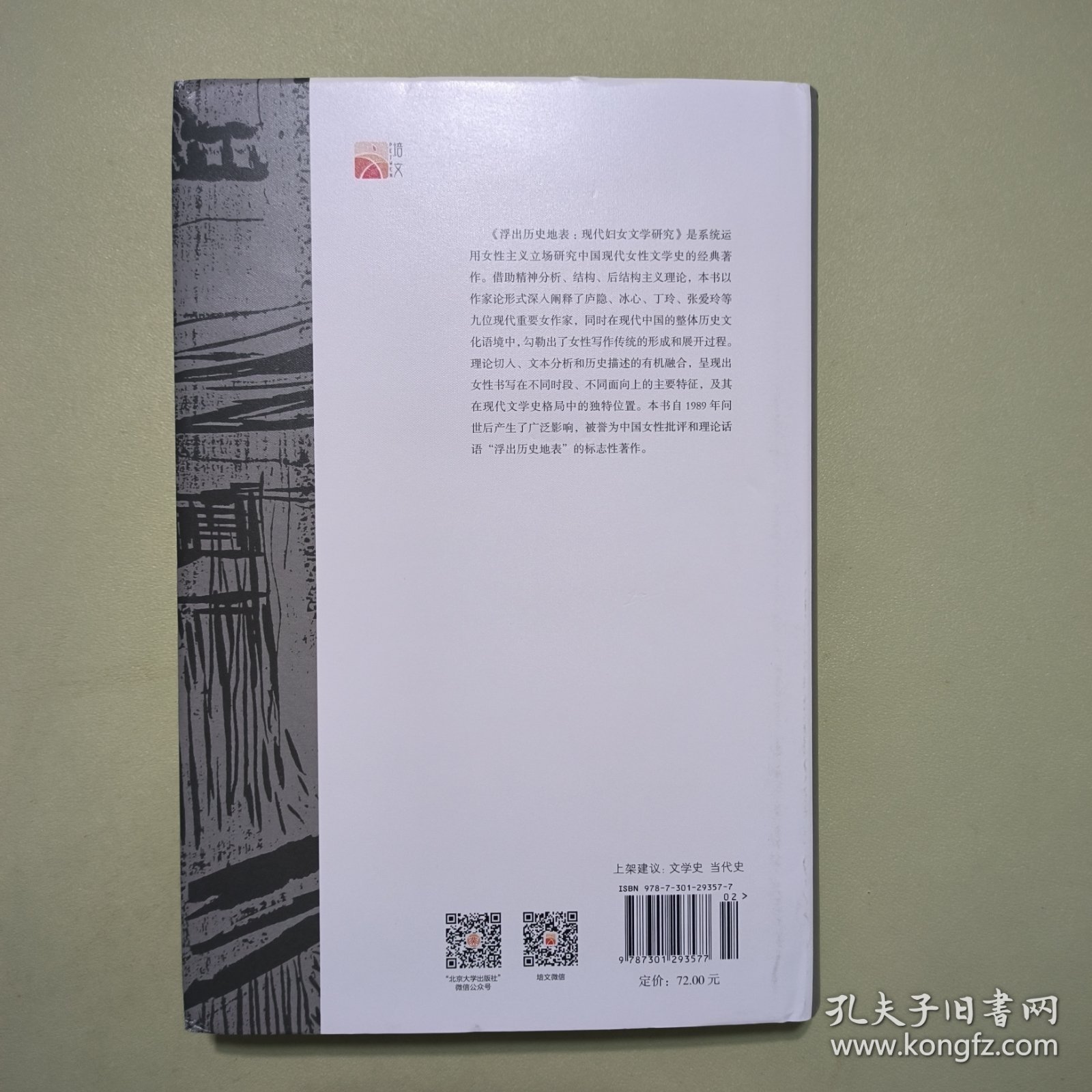 浮出历史地表：现代妇女文学研究