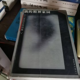 我的精神家园：王小波杂文自选集