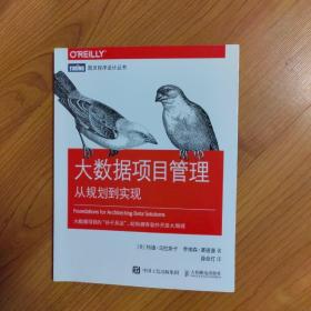 大数据项目管理从规划到实现