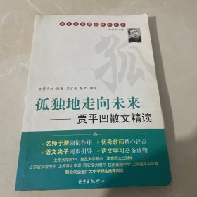 孤独地走向未来