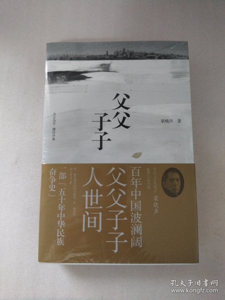 父父子子（第十届茅盾文学奖得主、电视剧《人世间》原著作者梁晓声长篇力作!）