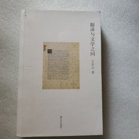 翻译与文学之间