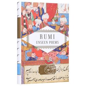 鲁米 诗歌选集 The Unseen Poems 英文原版 Rumi