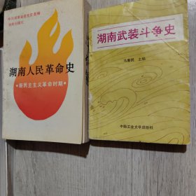 湖南人民革命史＊湖南武装斗争史（2册）