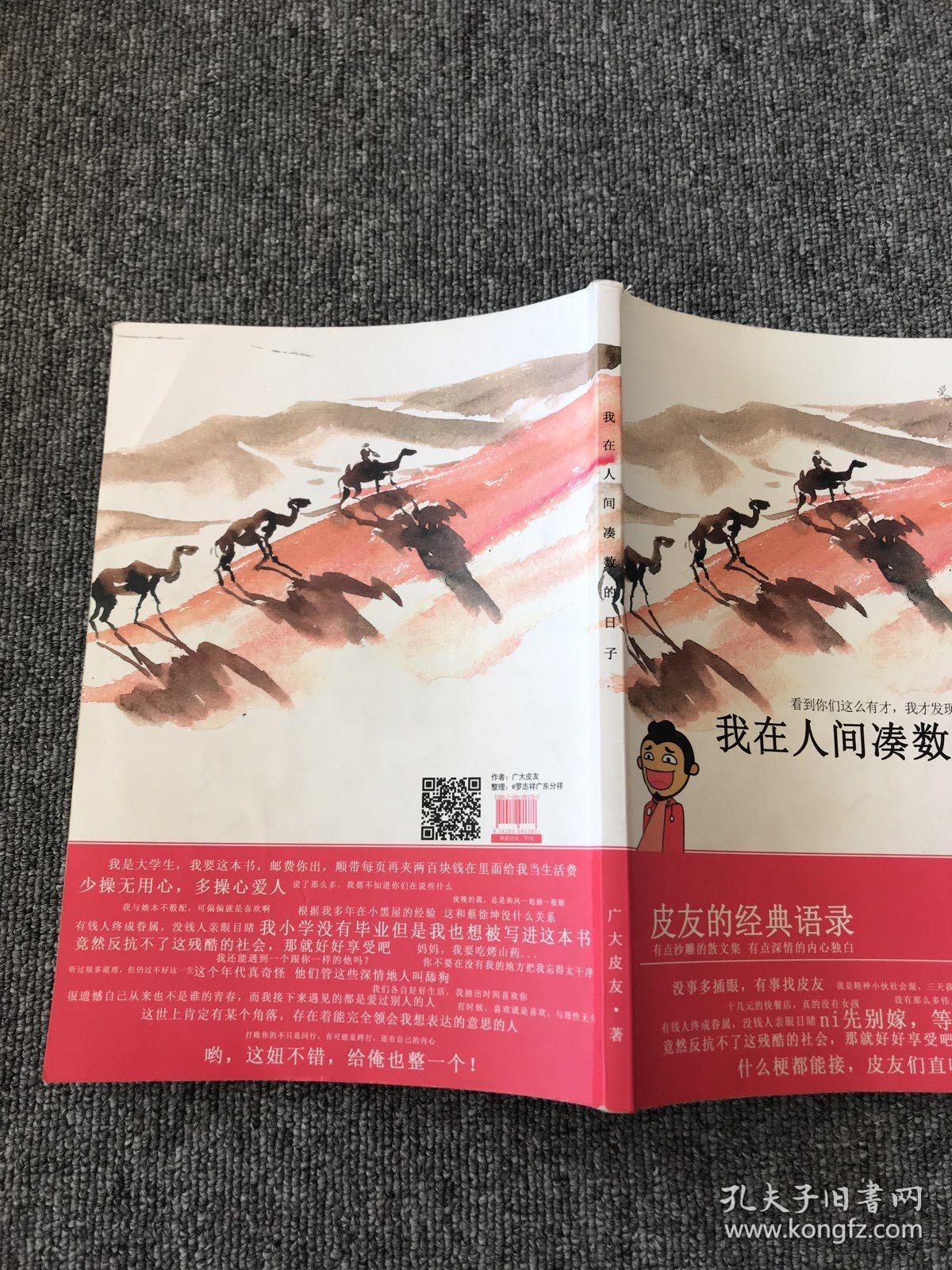 我在人间凑数的日子