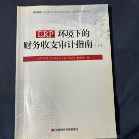 ERP环境下的财务收支审计指南. 上册