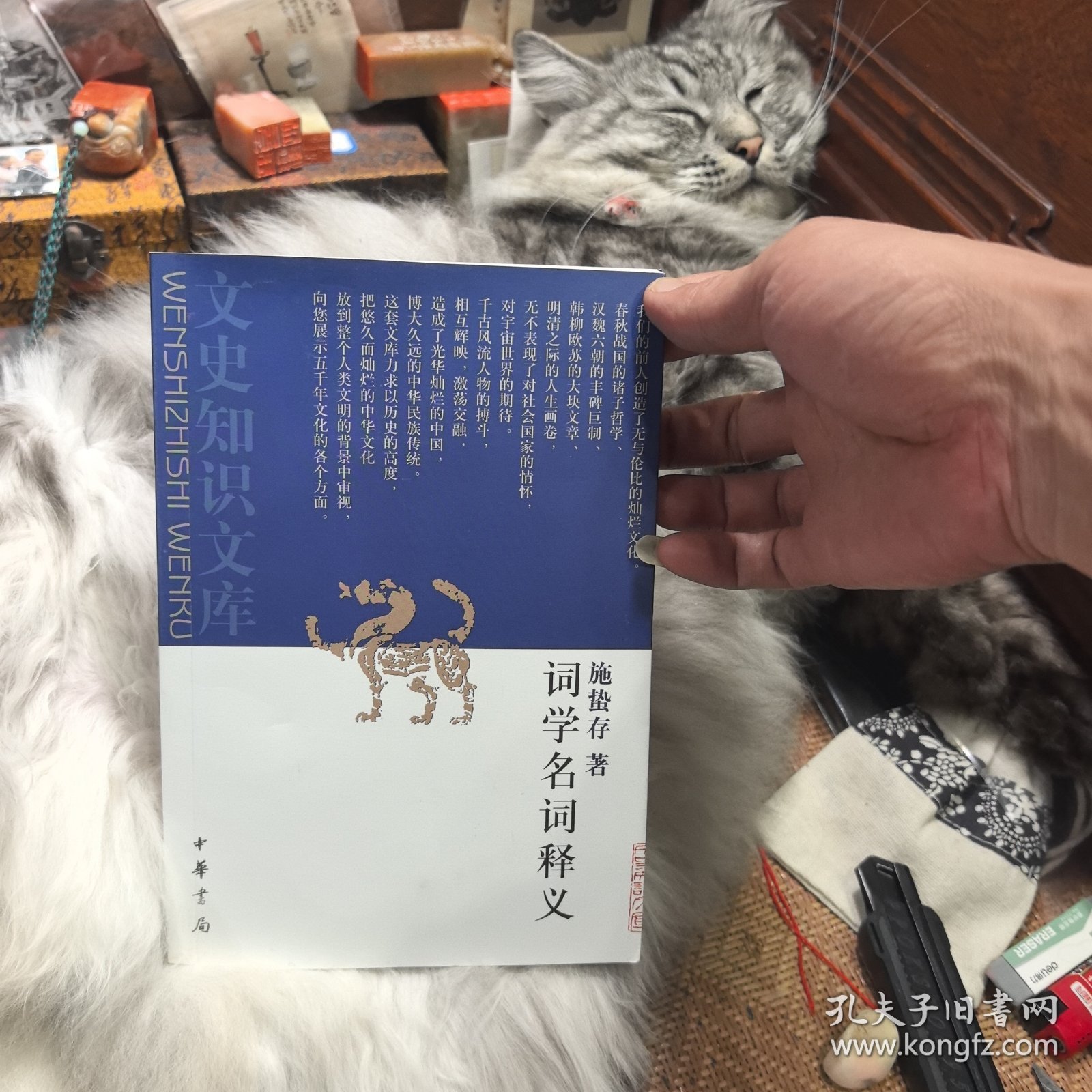 文史知识文库：词学名词释义