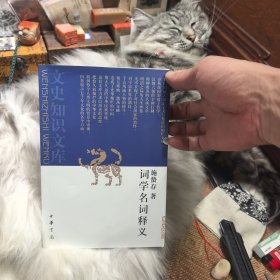 文史知识文库：词学名词释义