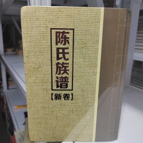 陈氏族谱—颖川堂（新卷，旧卷）2册全，湖南常德地区