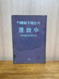 大公报文艺丛刊小说选 民国