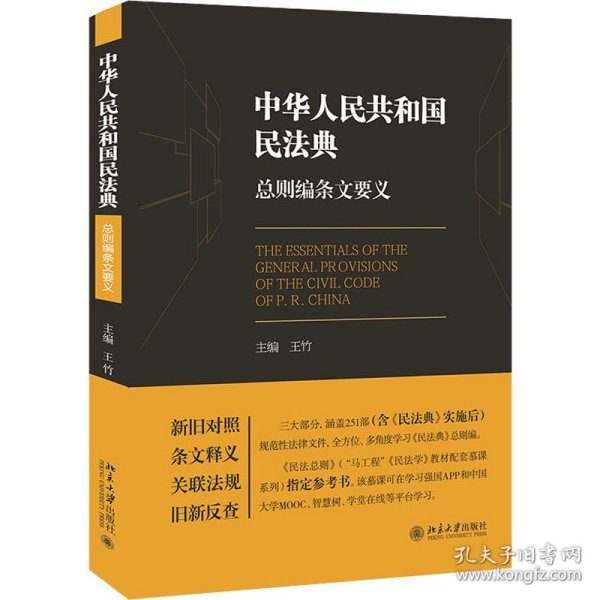 《中华人民共和国民法典》总则编条文要义