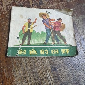 彩色的田野