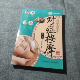 穴位反射区对症按摩大全