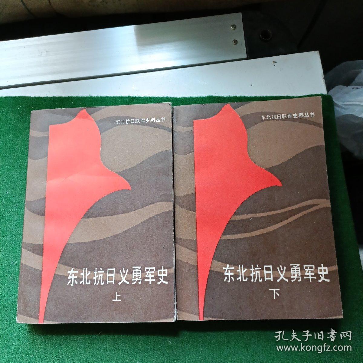东北抗日义勇军史 上下