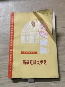 高举红旗大步走