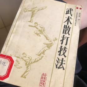 武术散打技法