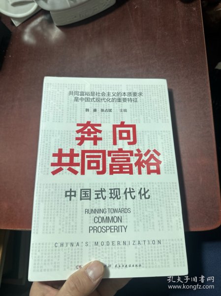 奔向共同富裕（读懂共同富裕，看清未来中国！深入浅出，雅俗共赏，两大TOP级智库联袂巨献，通俗理论重磅大作！）