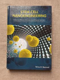 Stem-Cell Nanoengineering 干细胞纳米工程技术【英文版，精装】