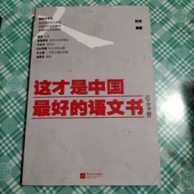 这才是中国最好的语文书：综合分册