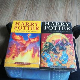 哈利·波特与死圣（儿童版）Harry Potter and the Deathly Hallows