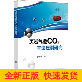 頁巖氣藏CO2干法壓裂研究