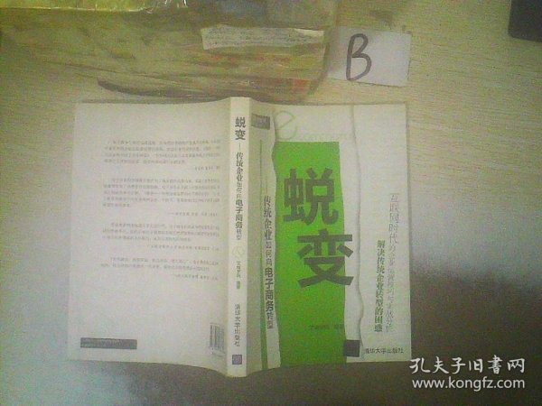 蜕变：传统企业如何向电子商务转型