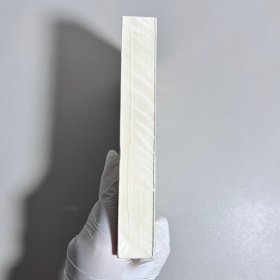 痛苦与狂喜:众神之巅:米开朗基罗传2