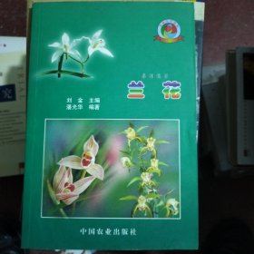 兰花