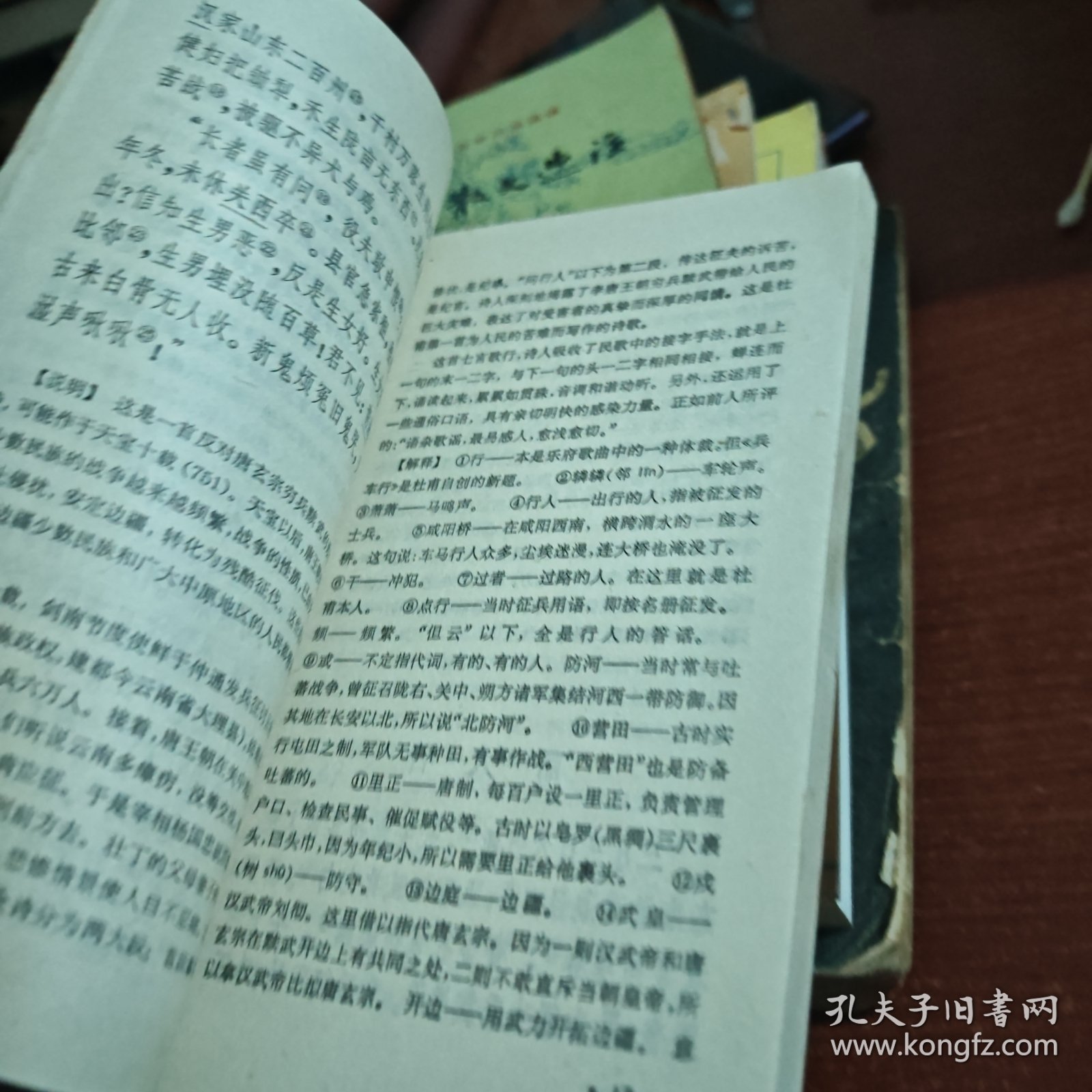 中国古典文学作品选读杜甫诗选注