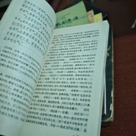 中国古典文学作品选读杜甫诗选注