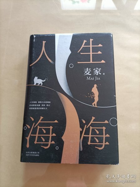 麦家：人生海海（茅盾文学奖得主麦家2019年强力之作）