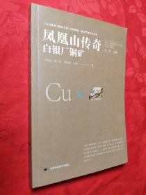 凤凰山传奇：白银厂铜矿/点石成金陇原宝藏自然资源-地学系列科普丛书