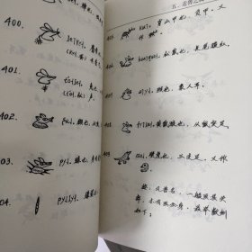 纳西象形文字谱