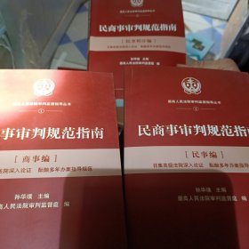 人民法院出版社 民商事审判规范指南三本合售