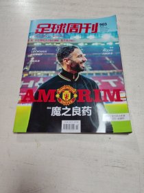 足球周刊（2024年第22期 总903期）