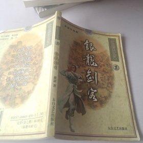 龙腾九万里系列 银龙剑客