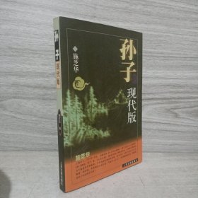 孙子:现代版