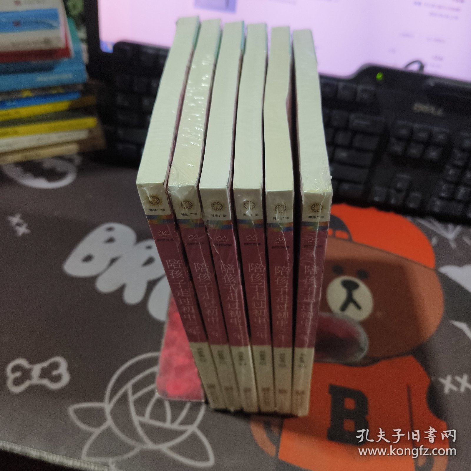 陪孩子走过初中三年：构筑爱的边界（原塑封）