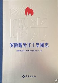 安徽曙光化工集团志