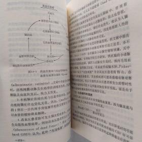 脑血管疾病 第二版(85品小32开1984年2版4印26520册626页41万字)54487