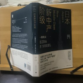 日本新中产阶级